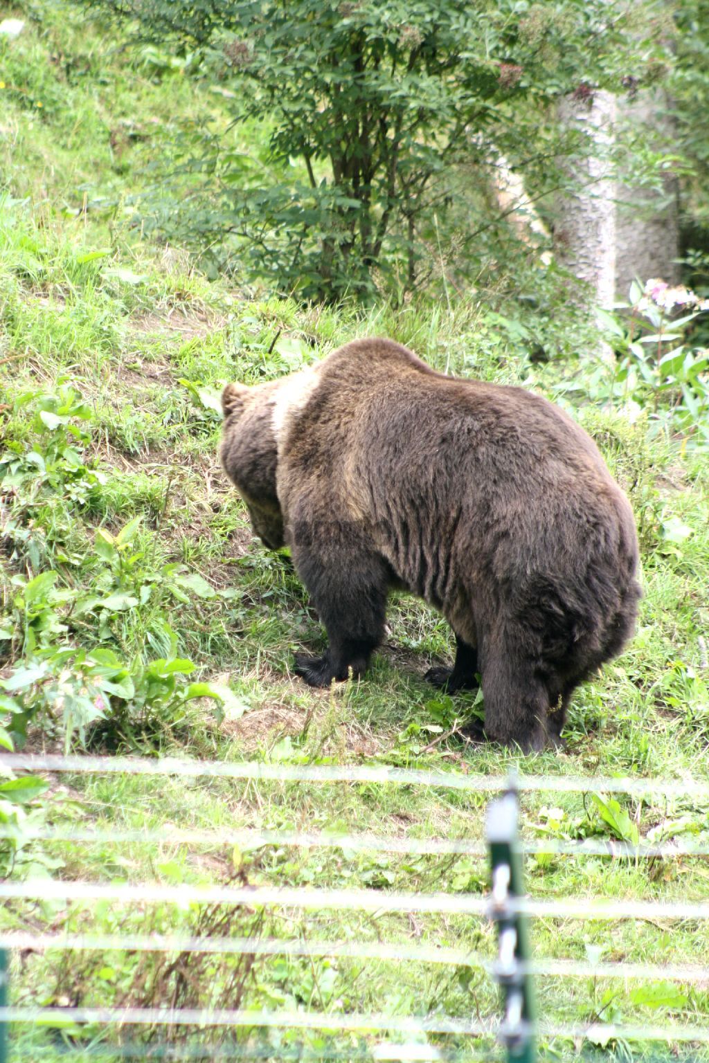 IMG_5539.jpg