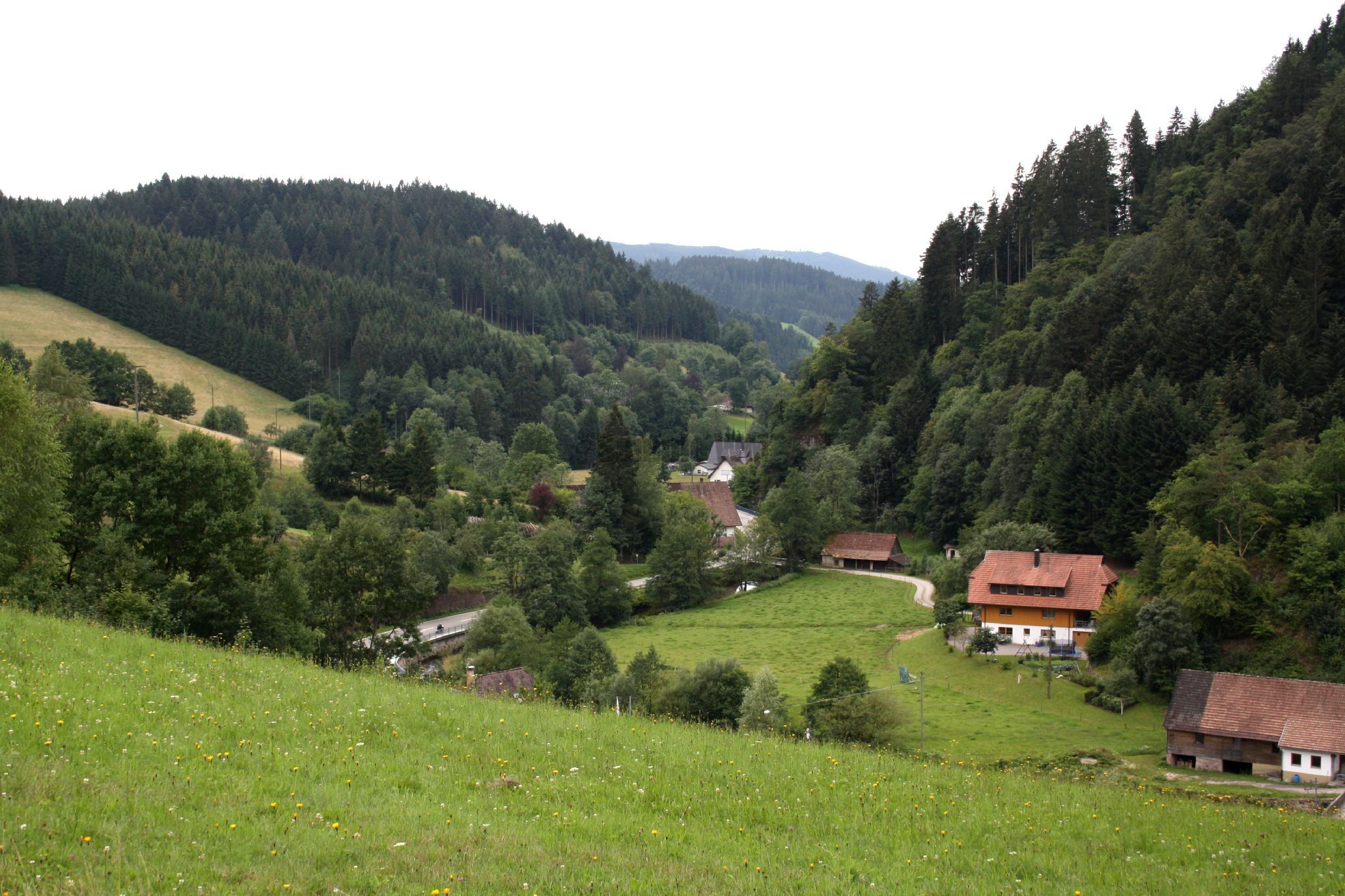 IMG_5545.jpg
