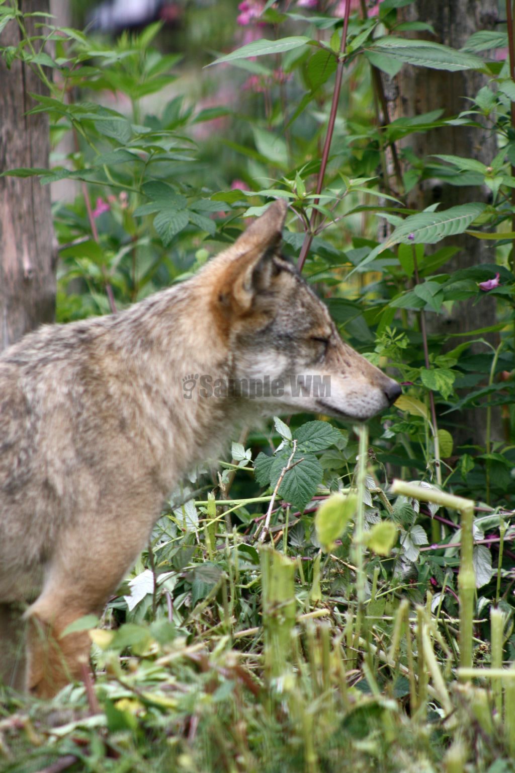 IMG_5554.jpg