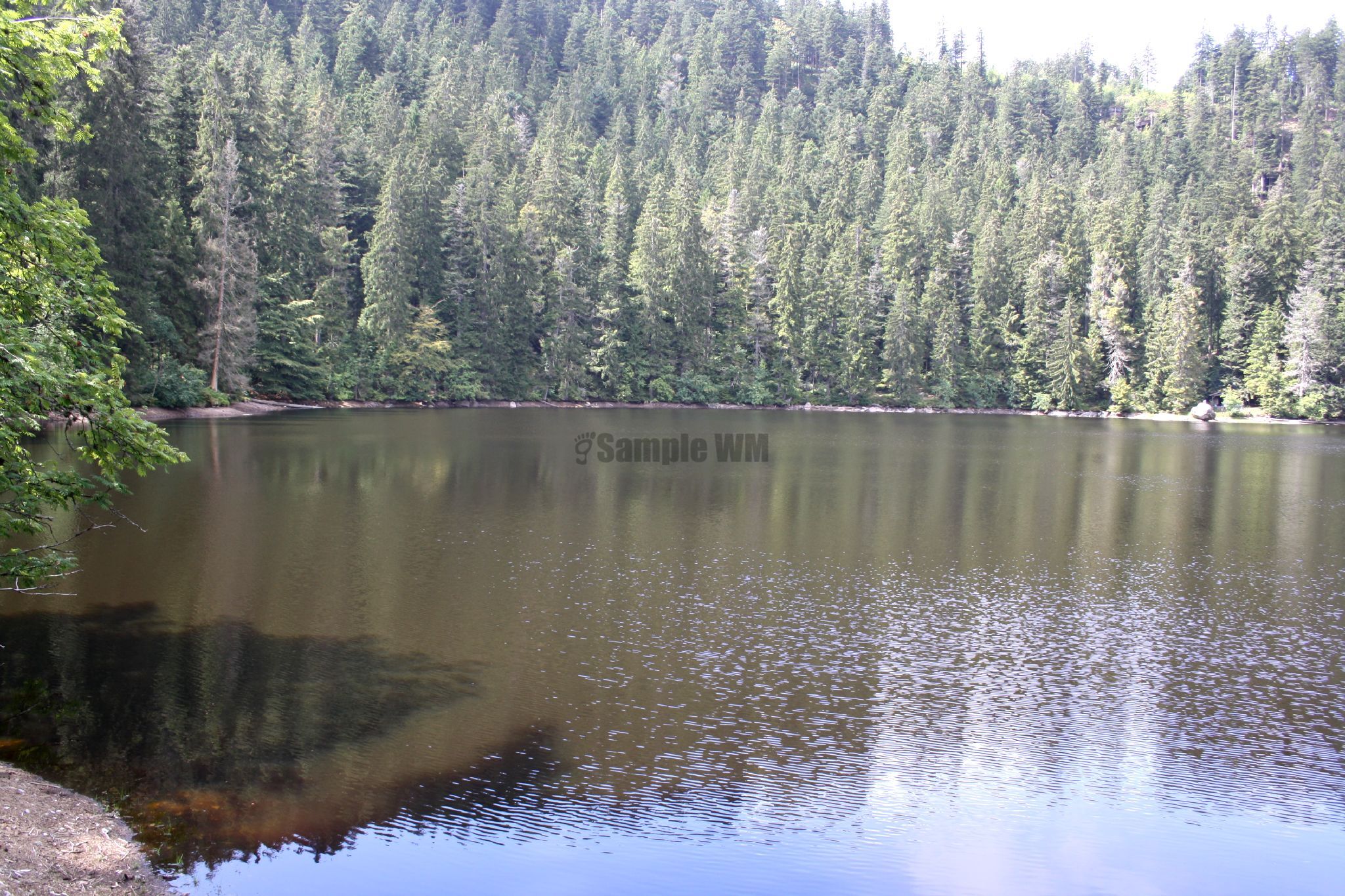 IMG_5609.jpg