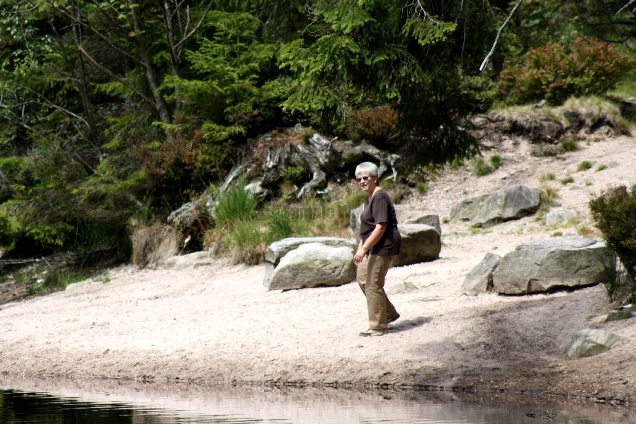IMG_5617.jpg