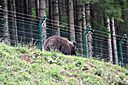 IMG_5518.jpg