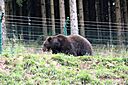 IMG_5521.jpg