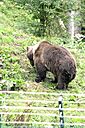 IMG_5539.jpg