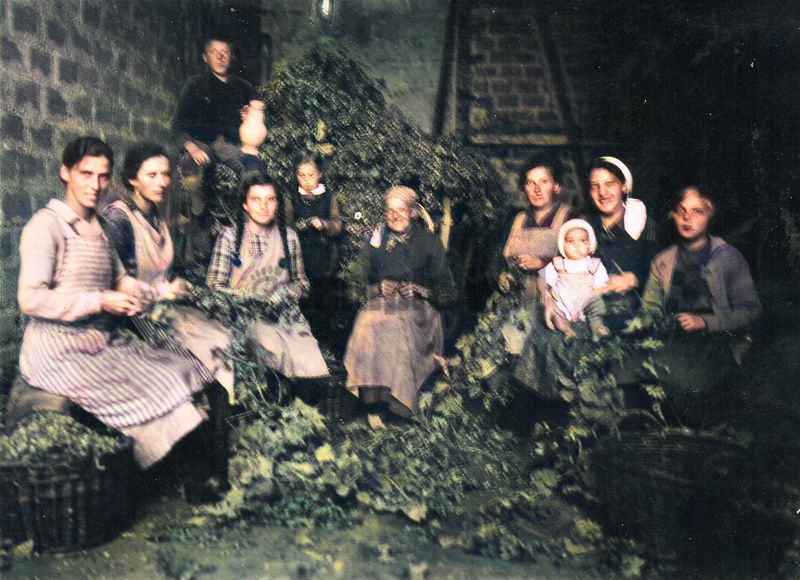 papa_bei_der_hopfenernte_color.jpg
