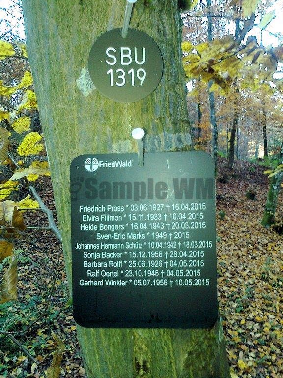 Foto0136.jpg