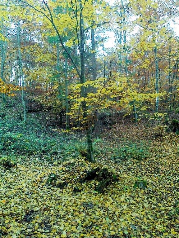 Foto0138.jpg