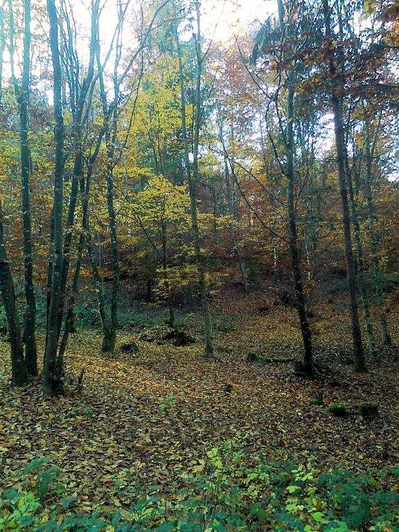 Foto0140.jpg