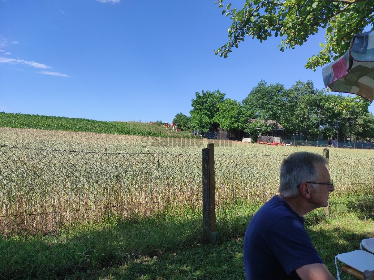 IMG_20220626_165150.jpg
