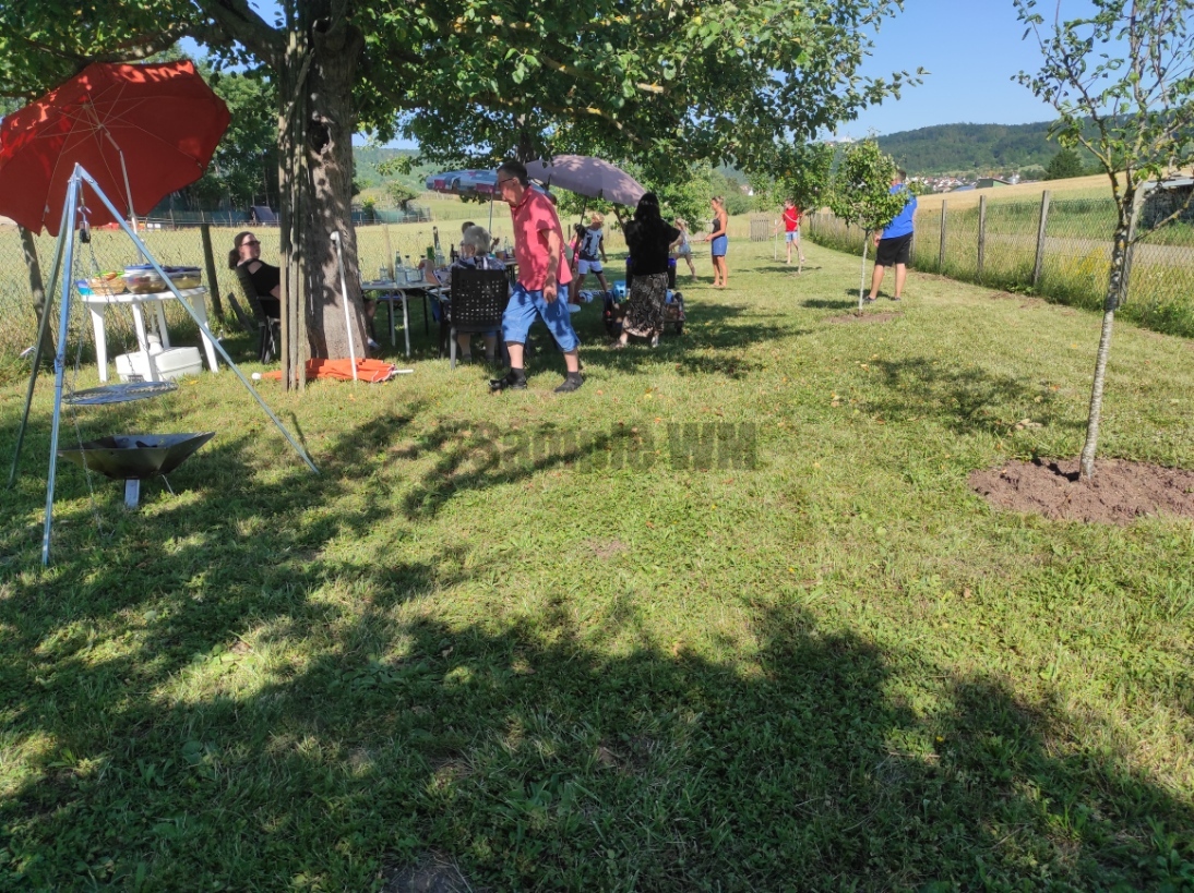 IMG_20220626_171636.jpg