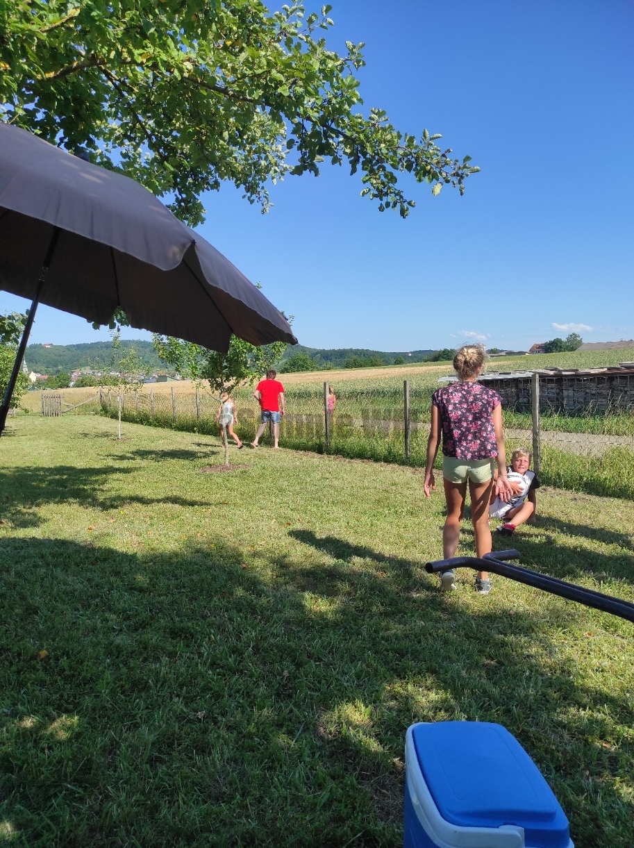 IMG_20220626_172508.jpg