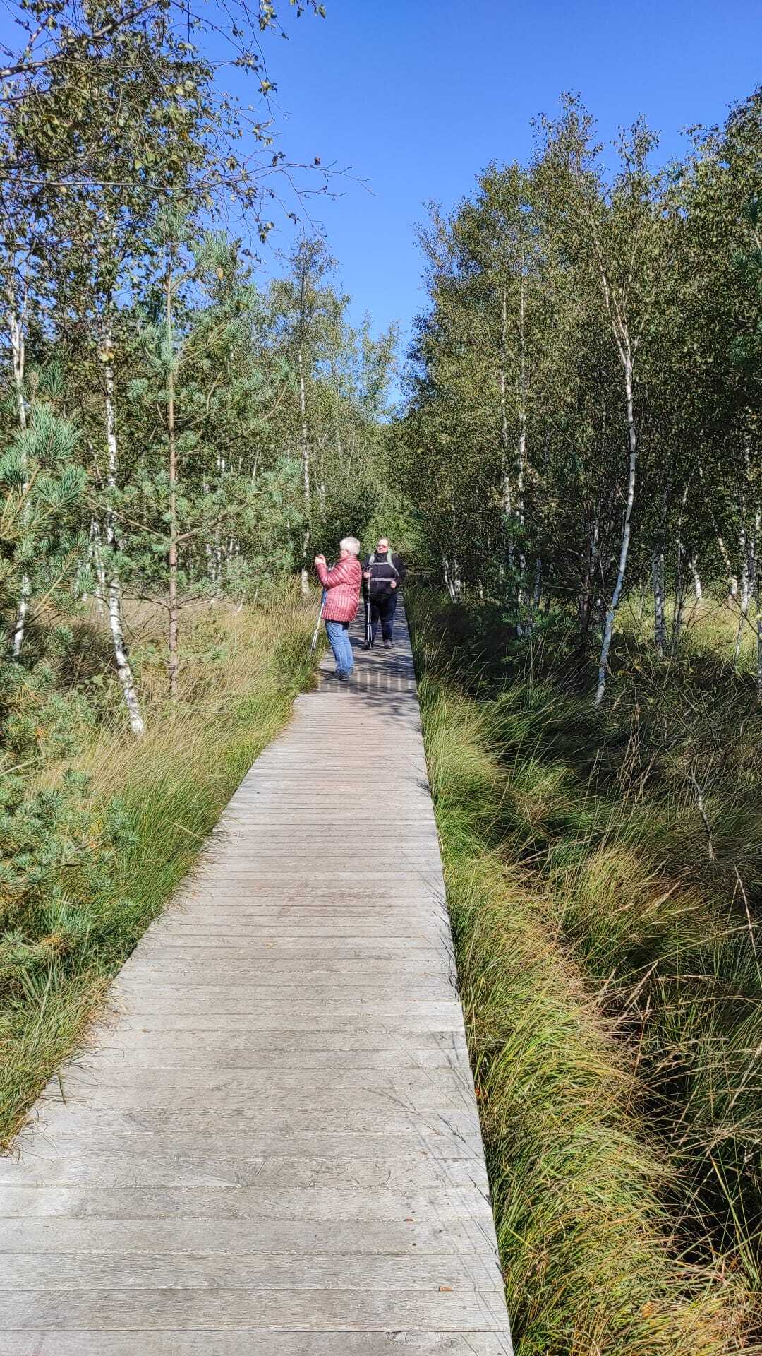 Pietzmoor
