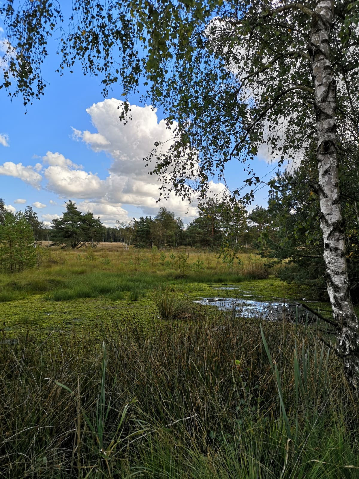 1195.jpg