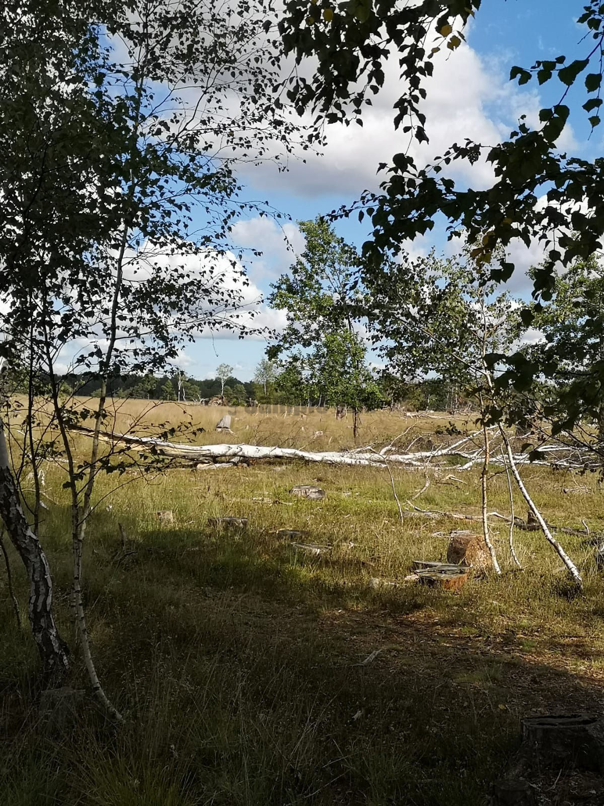 1220.jpg