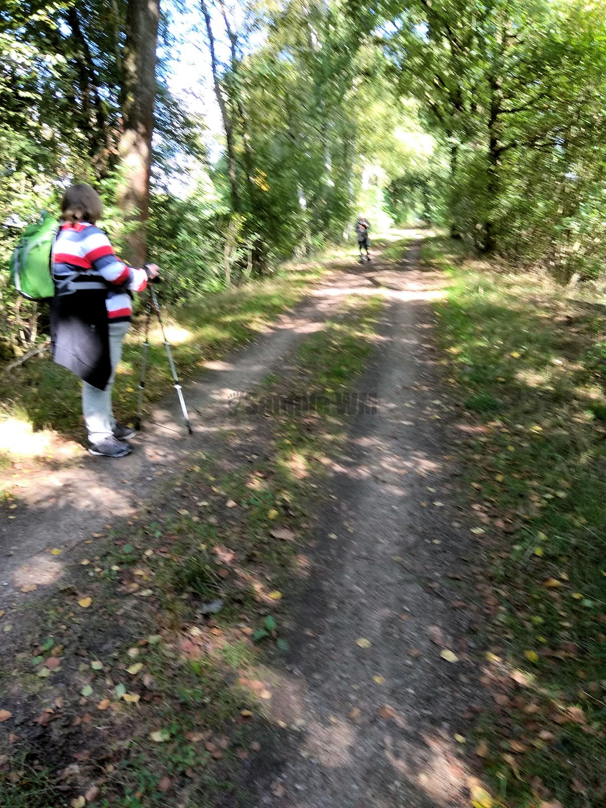 1236.jpg