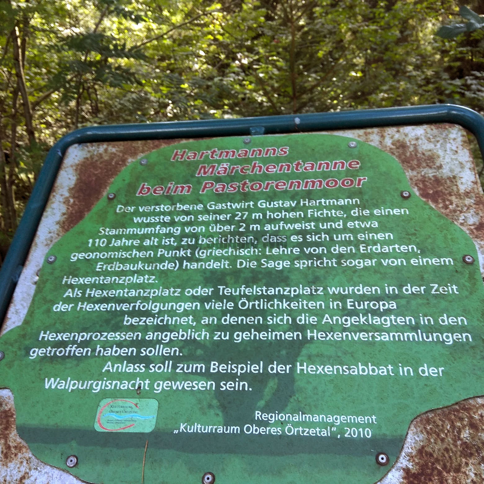 1241.jpg