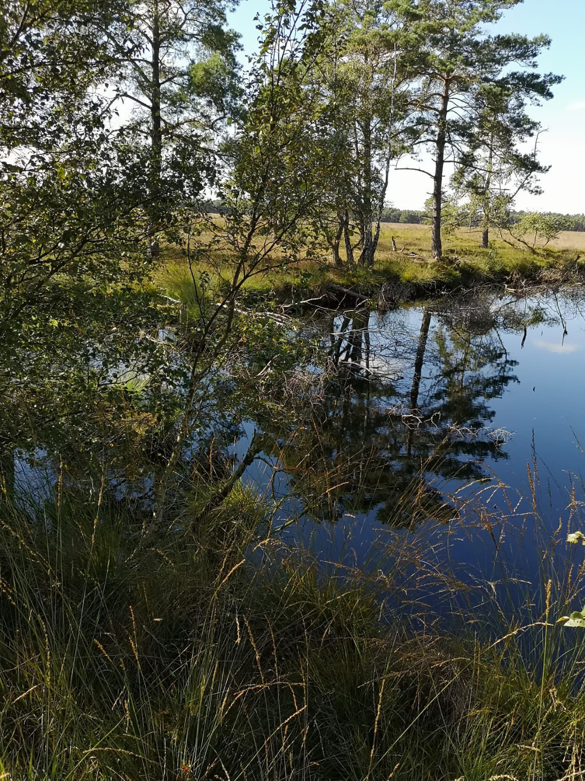 1260.jpg