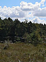 1225.jpg