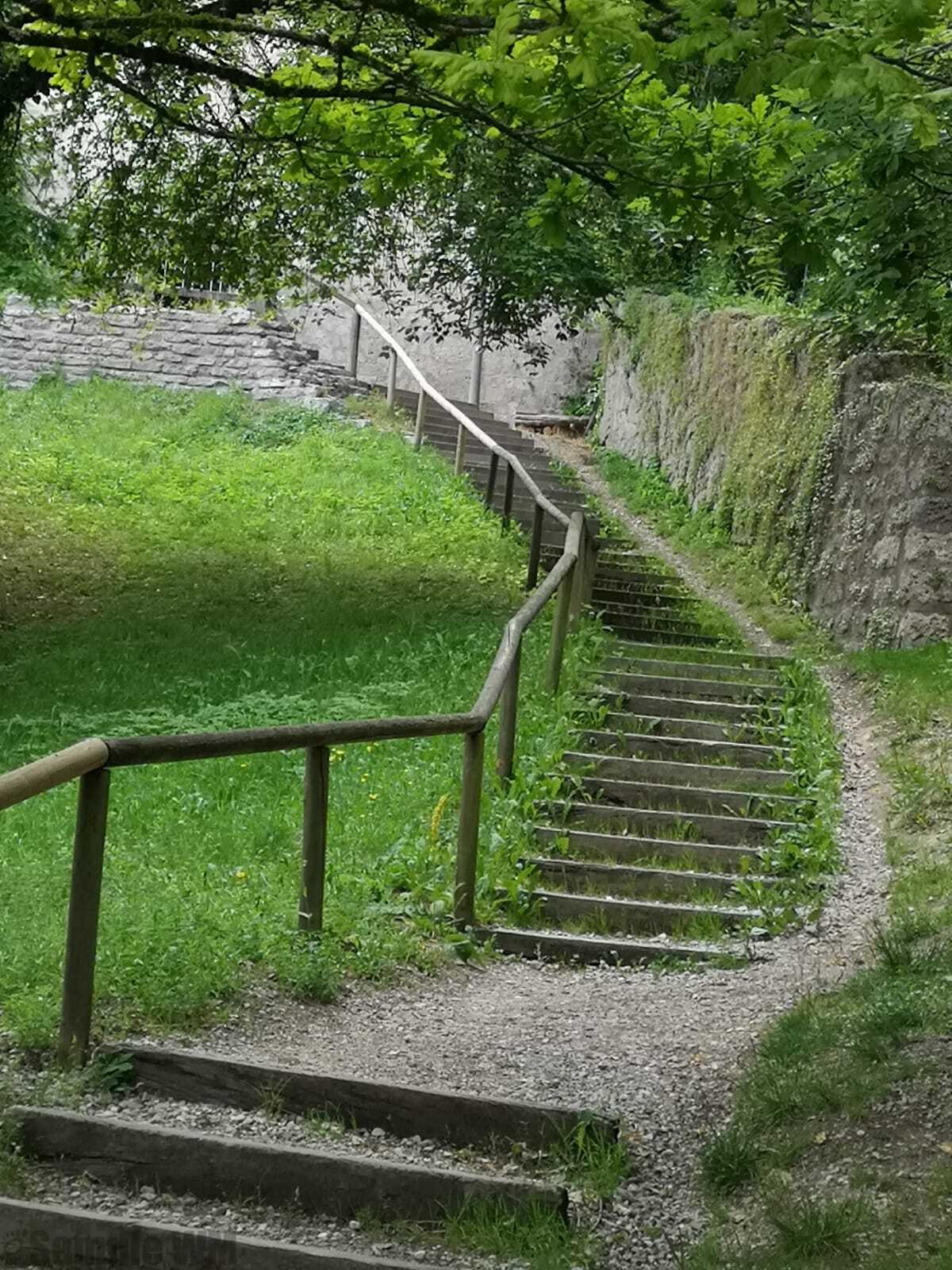 67.jpg