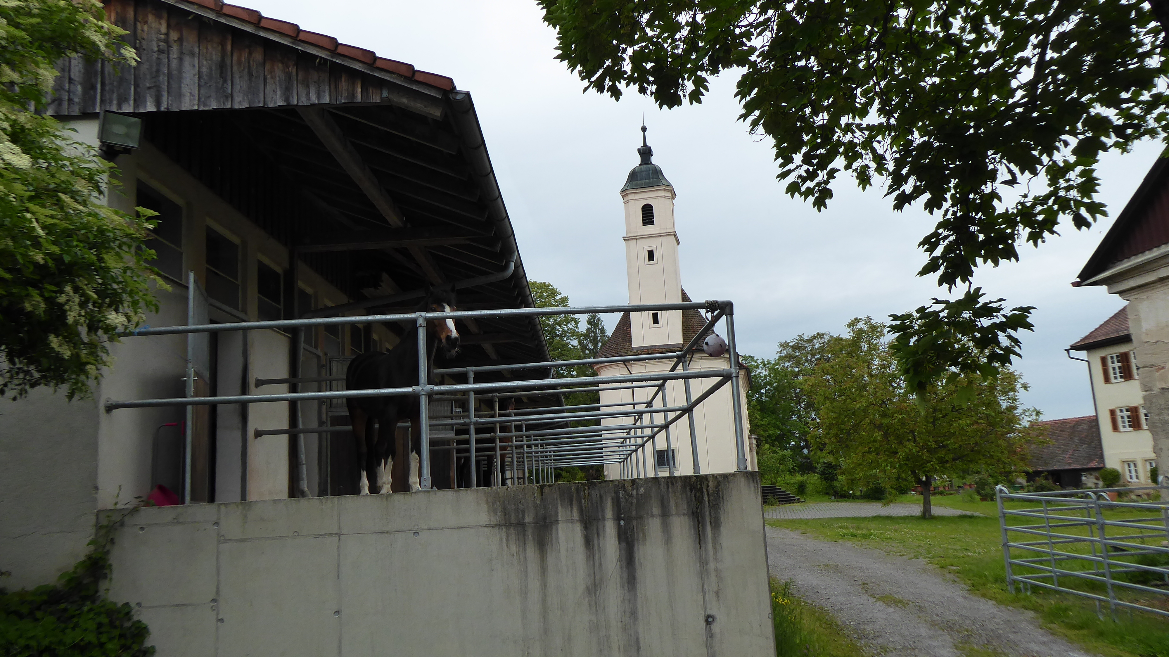 Klassentreffen_2024-05-23_Z_Pferdepraxis_Ammerhof_28329.JPG
