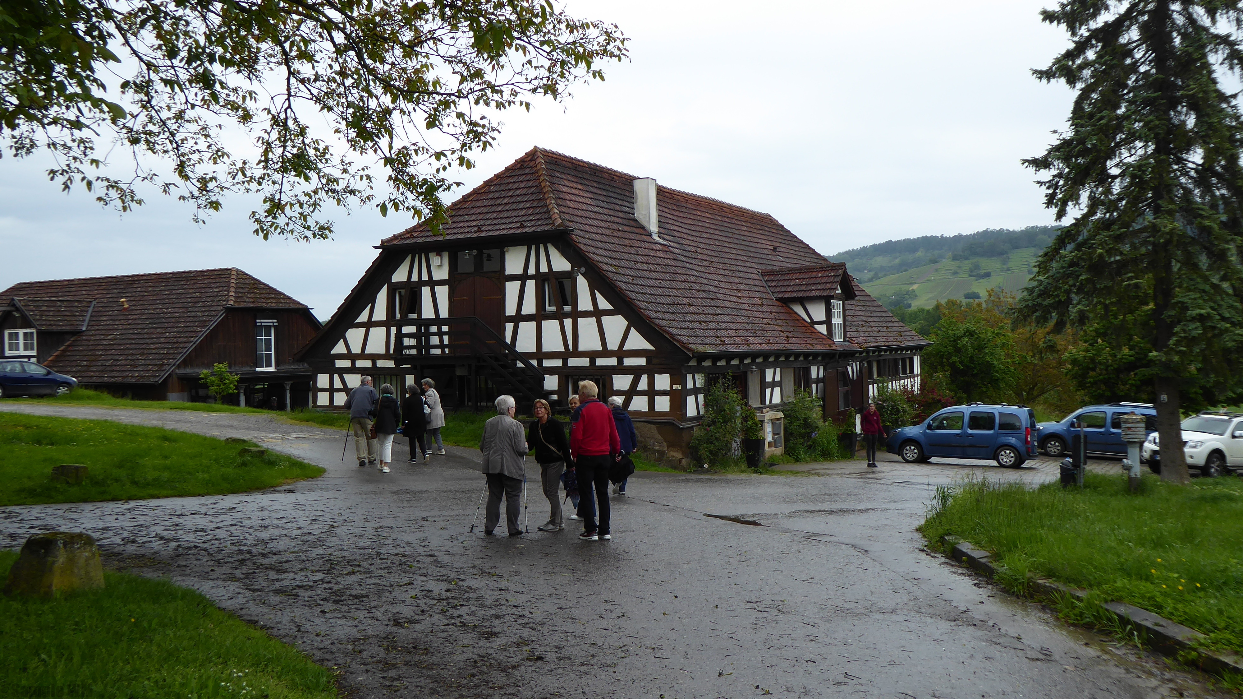 Klassentreffen_2024-05-23_Z_Pferdepraxis_Ammerhof_28429.JPG