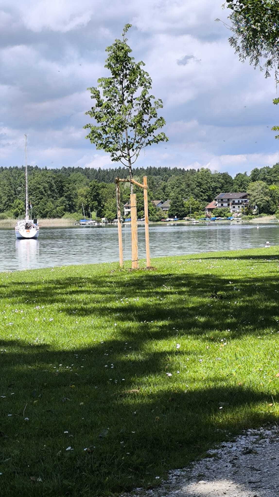 110.jpg