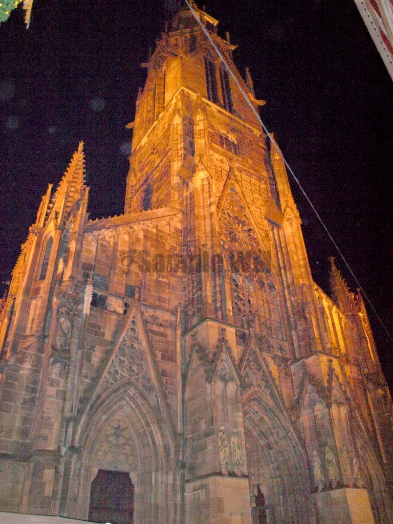 P1010019.JPG
