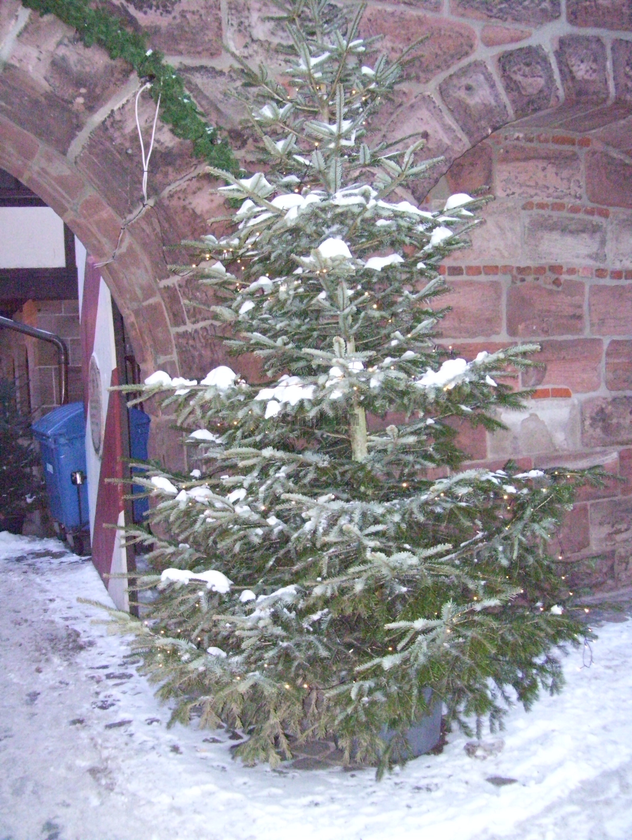 100_0875.jpg