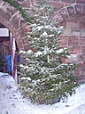 Dateiname=100_0875.jpg
Dateigröße=1322KB
Abmessungen: 2144x2848
hinzugefügt am: 24. April 2022 100_0875.jpg