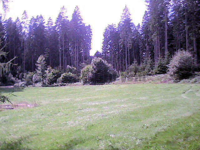 IMG0080A.jpg