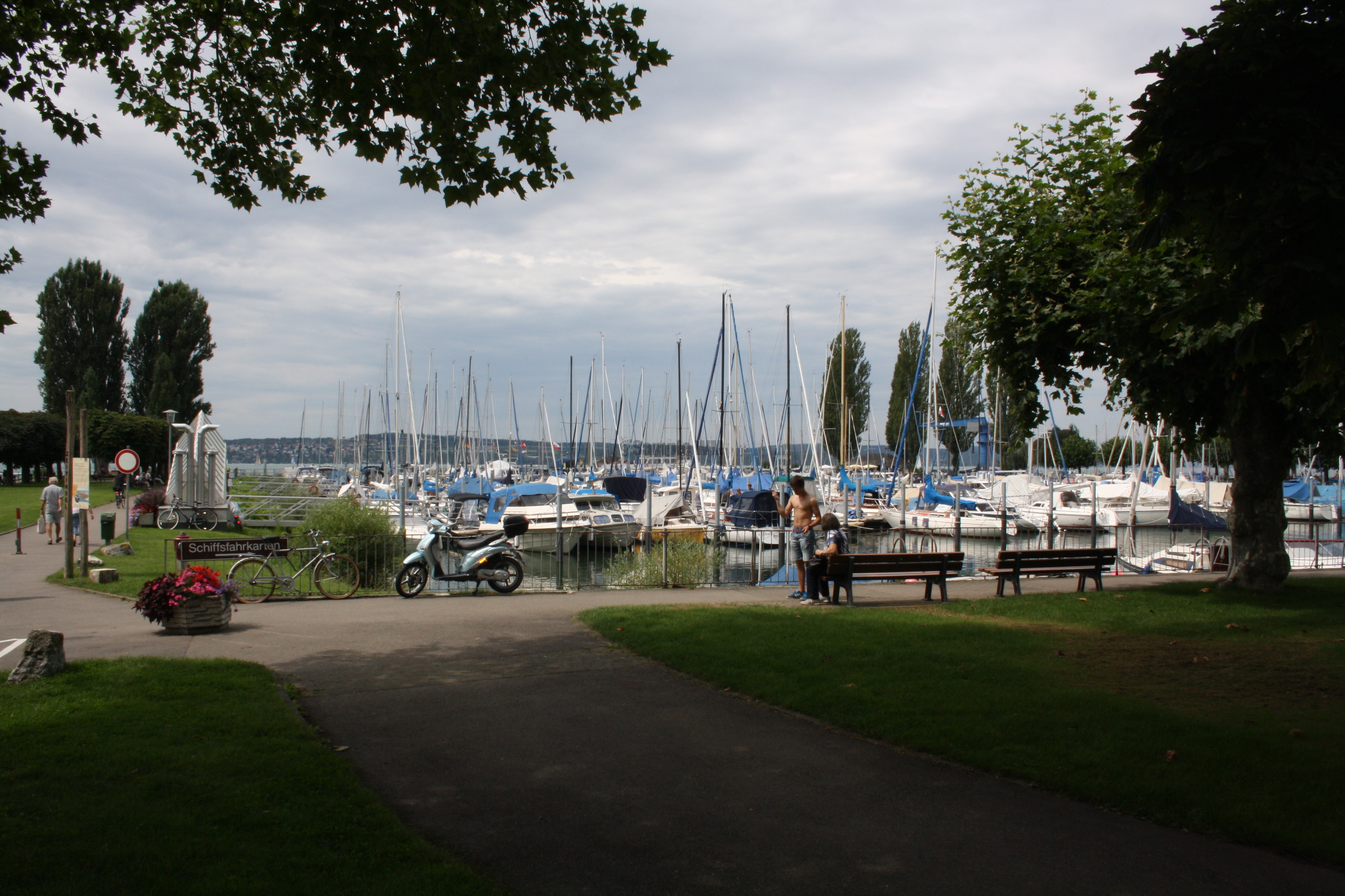 IMG_5951.JPG