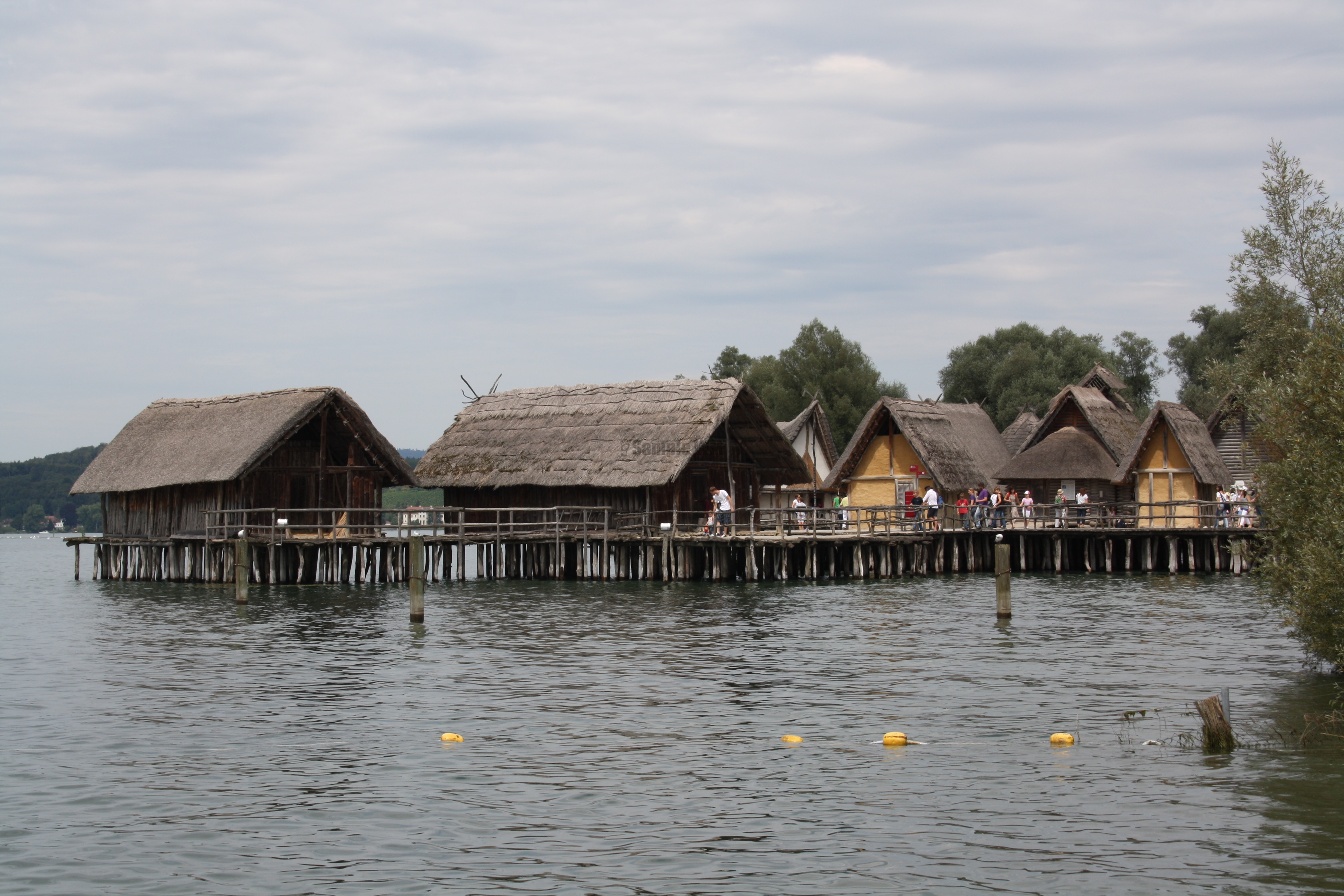 IMG_5957.JPG