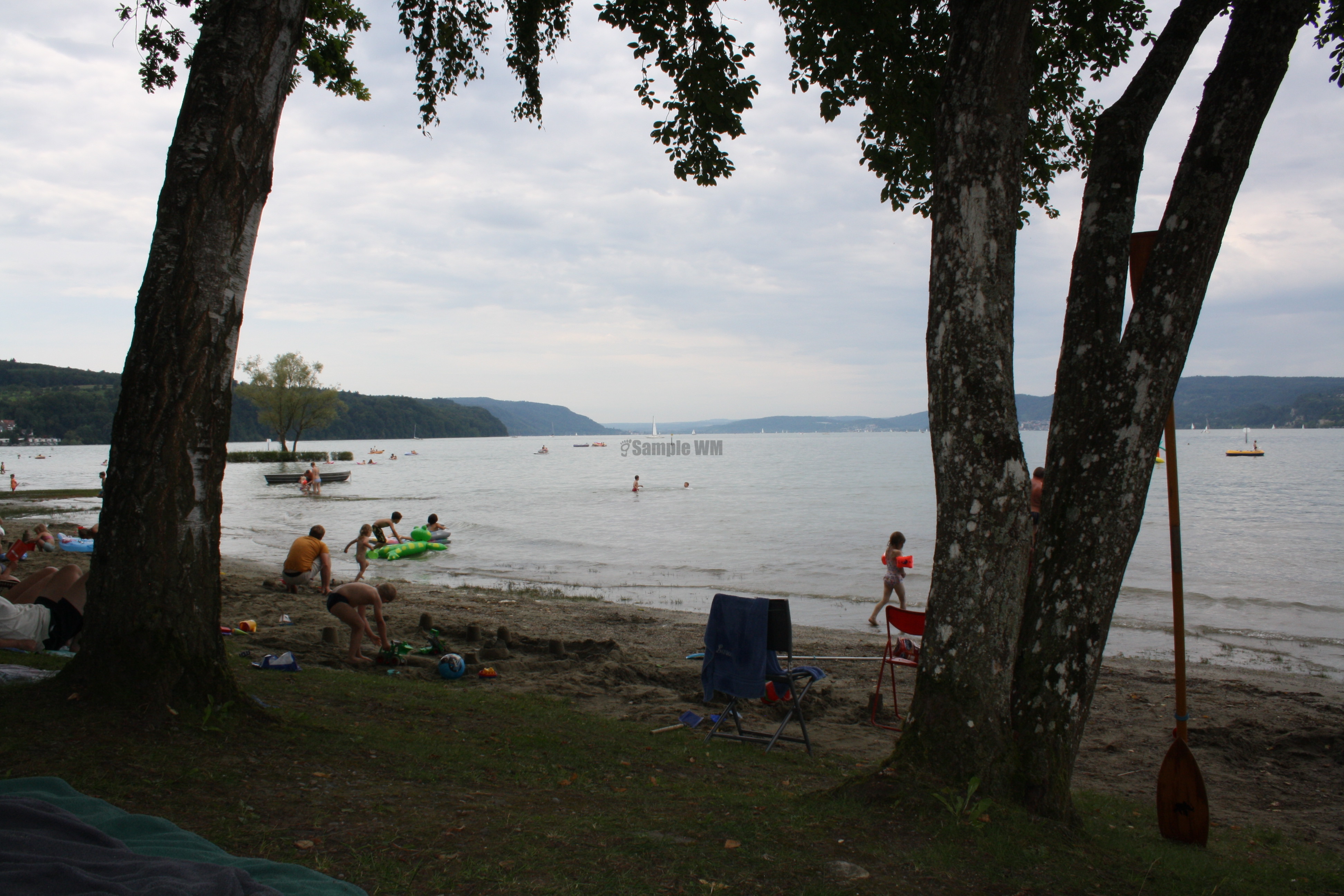 IMG_5984.JPG