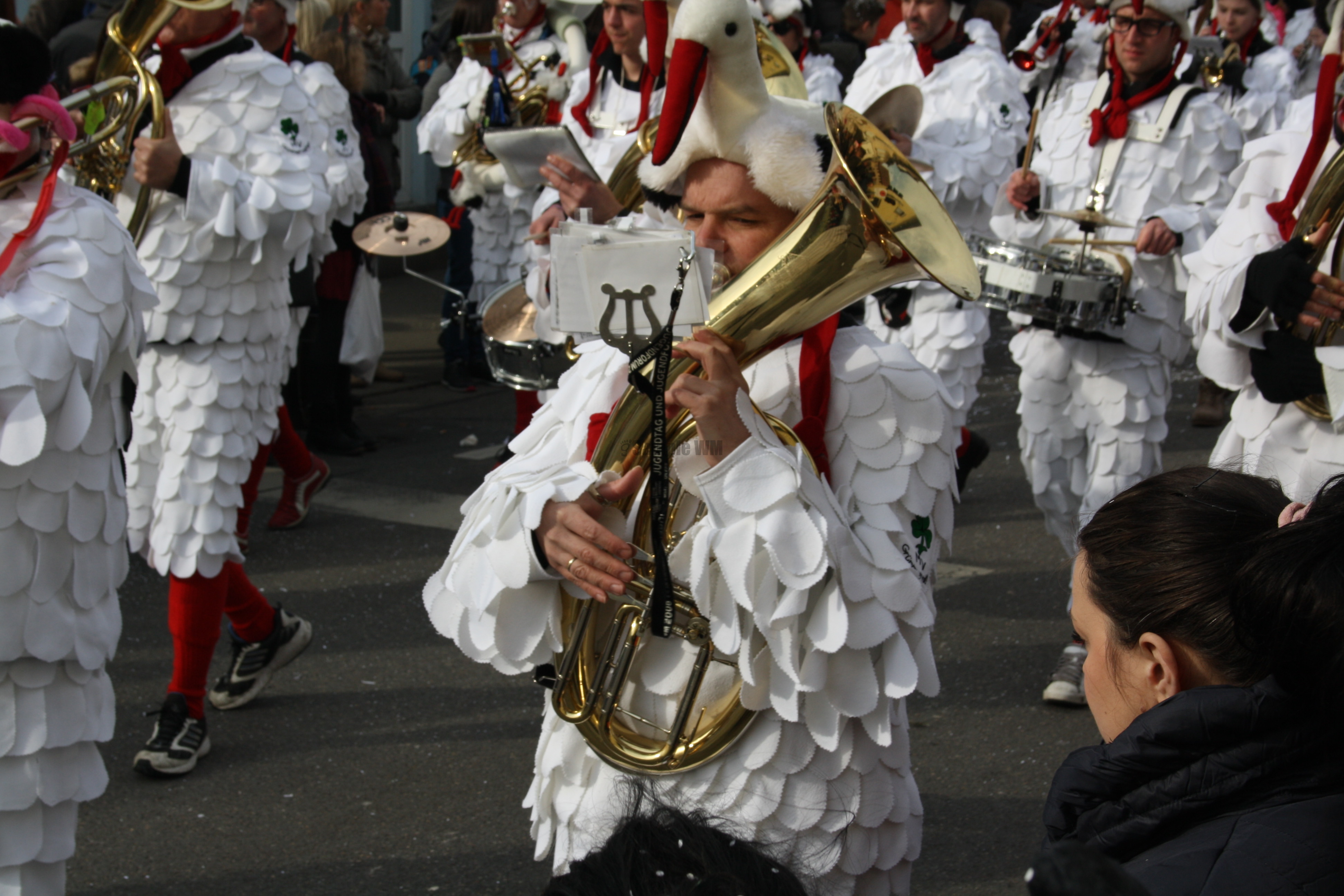 IMG_6114.JPG