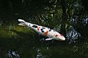 0042.jpg
