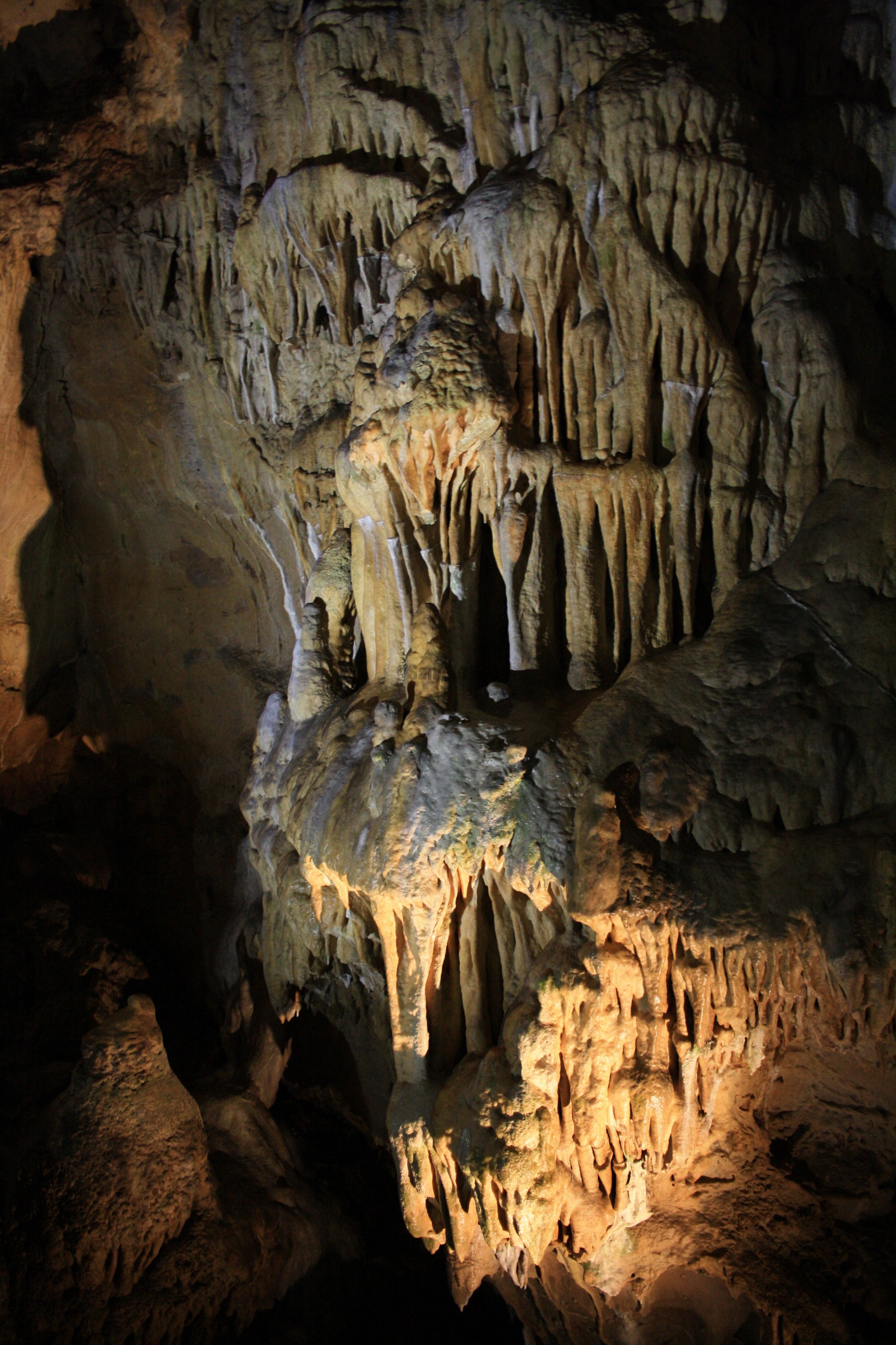 IMG_6638.jpg
