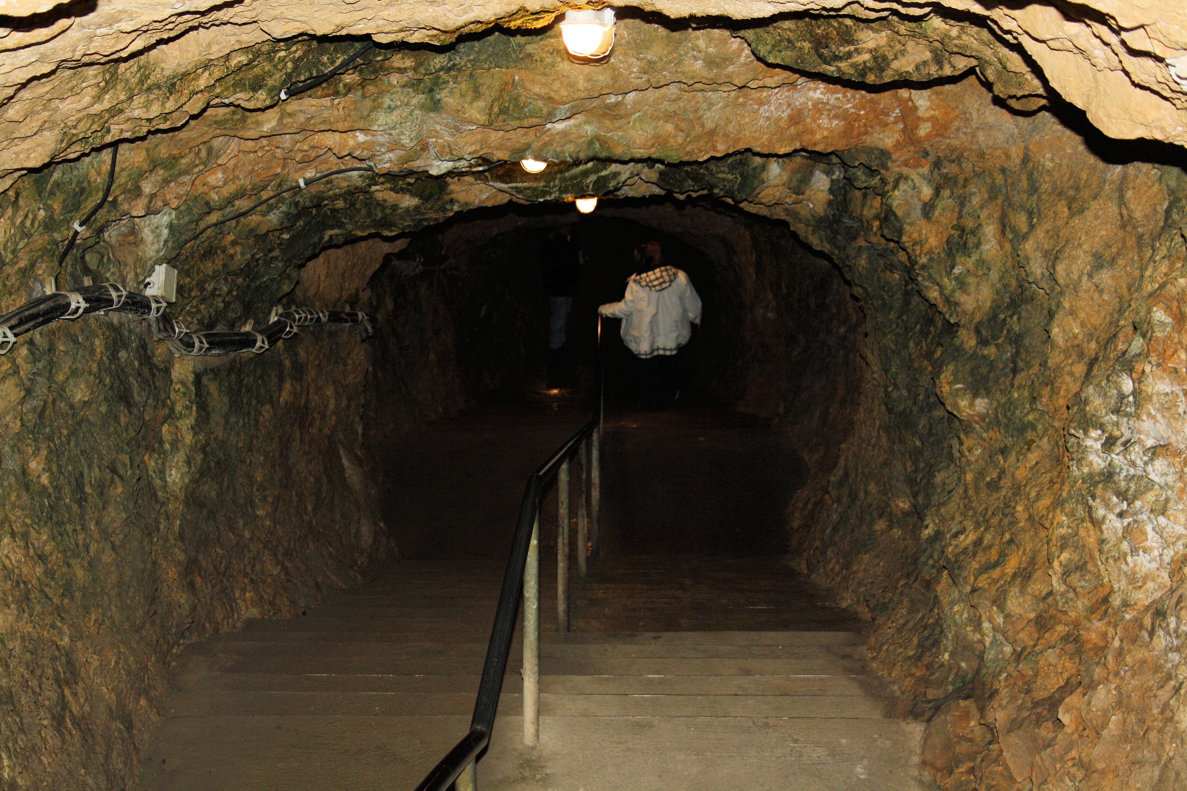 IMG_6675.jpg