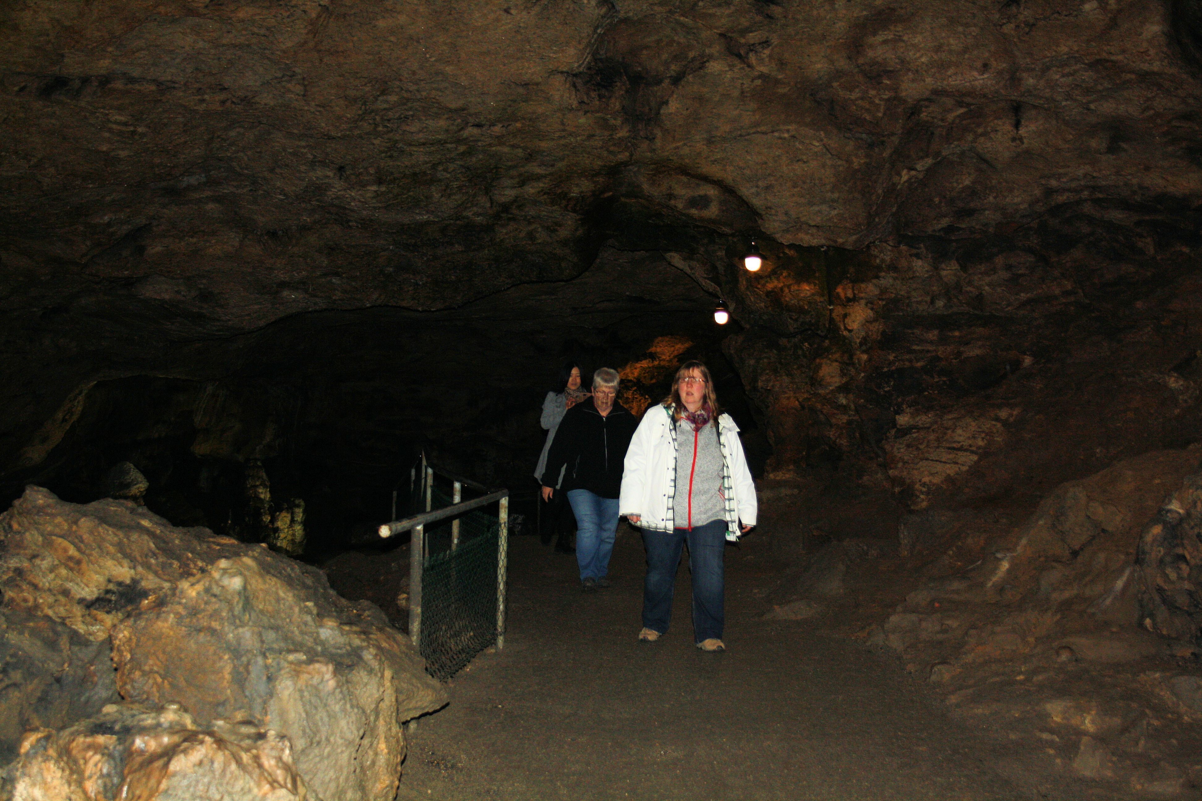 IMG_6733.jpg