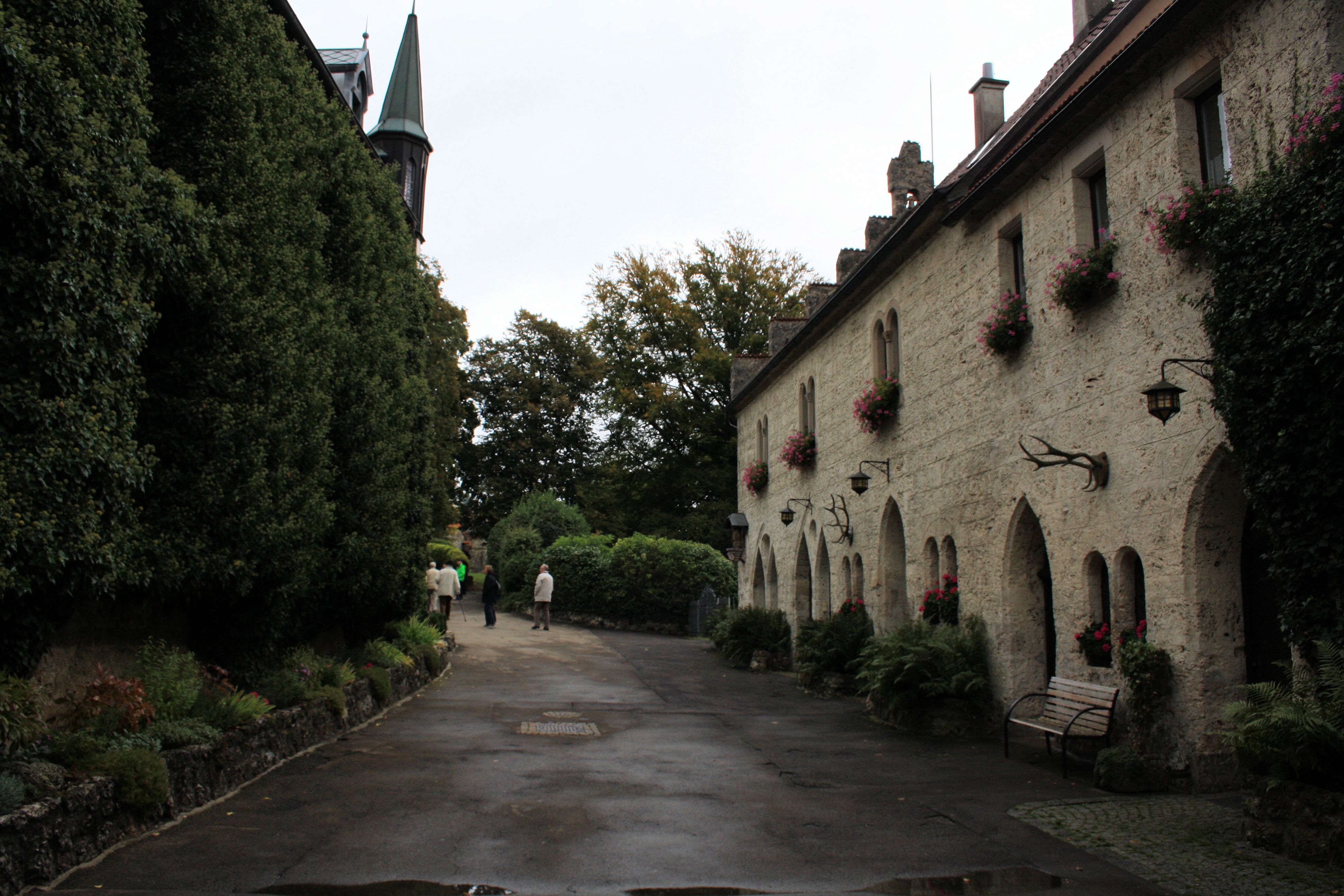 IMG_6743.jpg