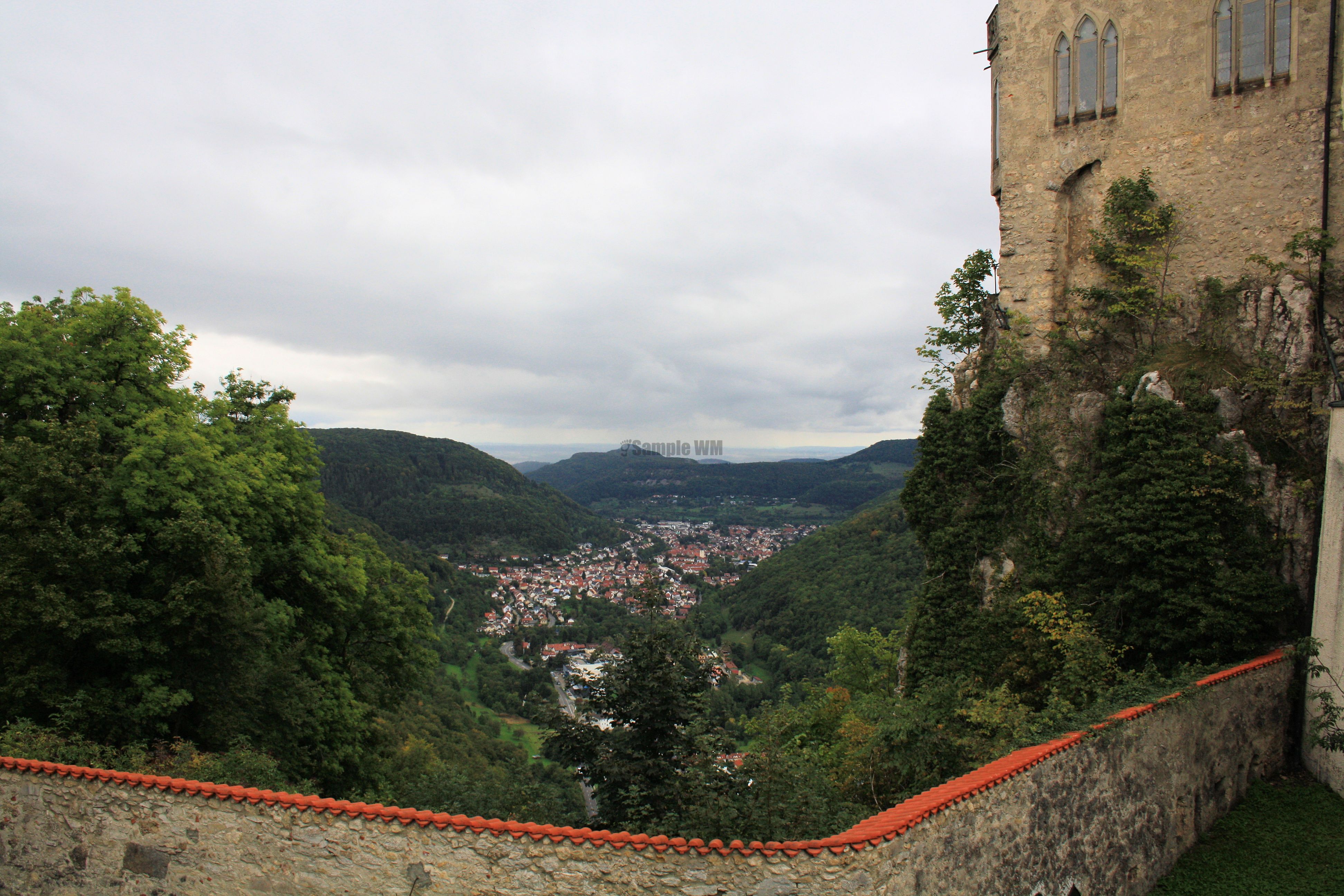 IMG_6744.jpg