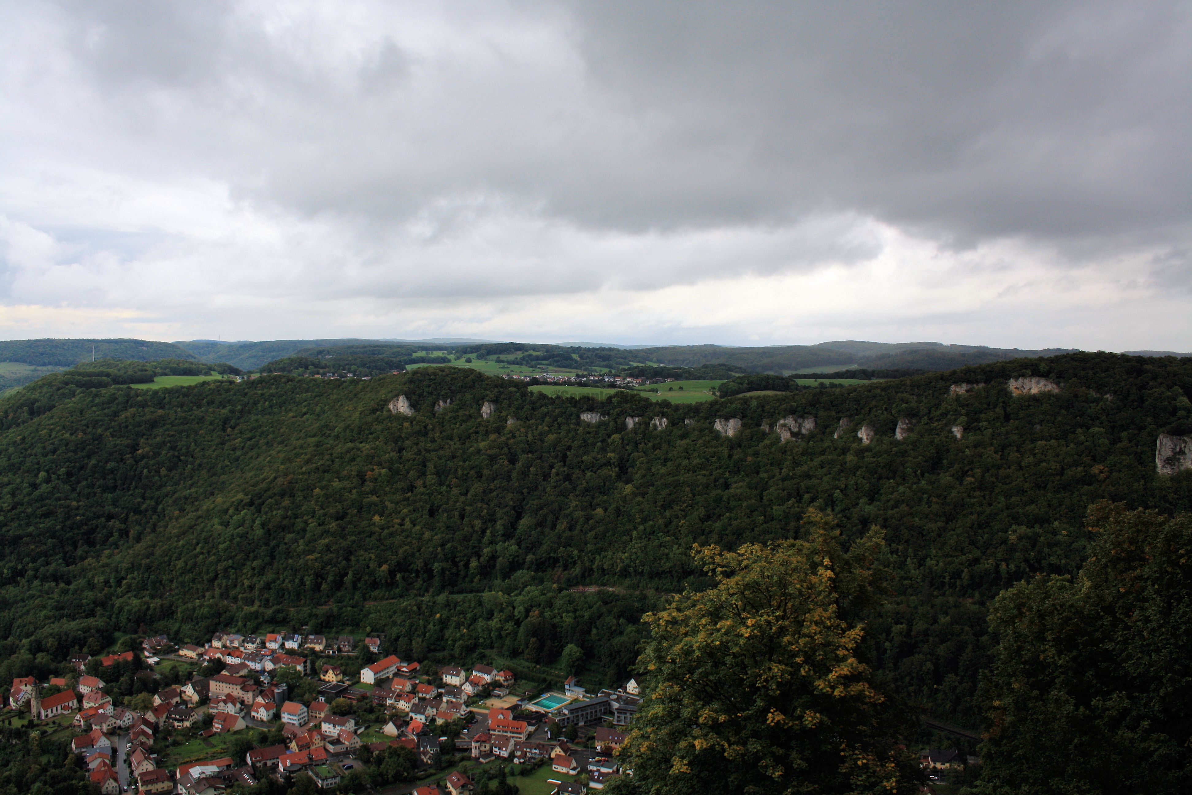 IMG_6747.jpg