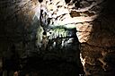 IMG_6634.jpg