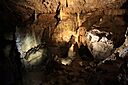 IMG_6647.jpg
