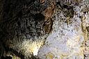 IMG_6659.jpg