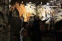 IMG_6663.jpg