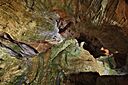IMG_6671.jpg