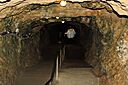 IMG_6675.jpg
