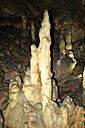 IMG_6684.jpg