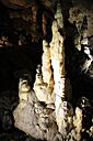 IMG_6685.jpg