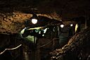 IMG_6687.jpg